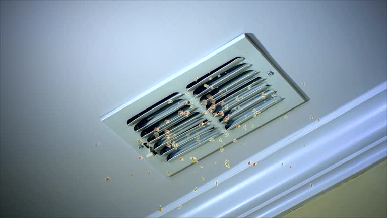 Best Commercial Air Duct Cleaning  in Tignall, GA