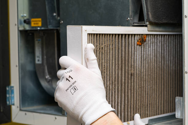 Best Professional Duct Cleaning Services  in Tignall, GA